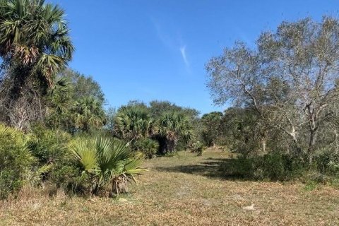 Terrain à vendre à Okeechobee, Floride № 931084 - photo 6