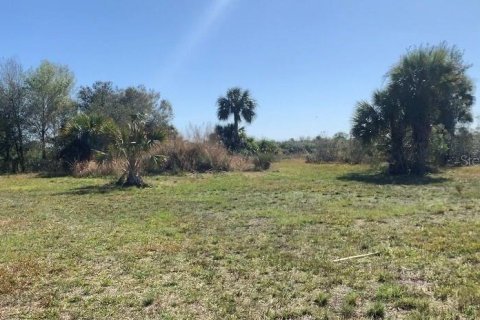 Terrain à vendre à Okeechobee, Floride № 931084 - photo 1
