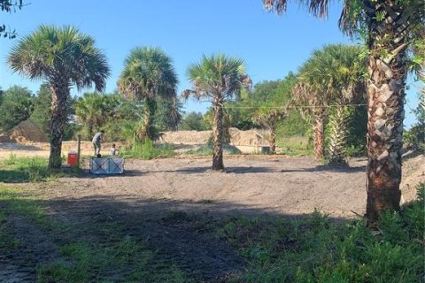 Купить земельный участок в Окичоби, Флорида № 931084 - фото 3