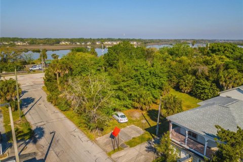 Land in Saint Augustine, Florida № 1283068 - photo 5