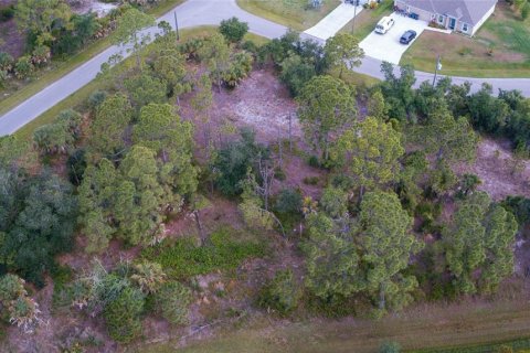 Land in North Port, Florida № 1254773 - photo 27