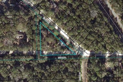 Terreno en venta en Trenton, Florida № 1347124 - foto 1