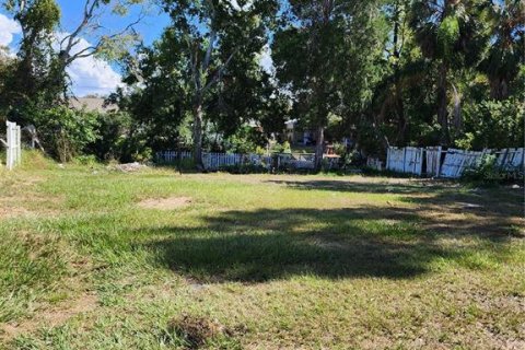 Commercial property in Tampa, Florida 230.21 sq.m. № 848351 - photo 1