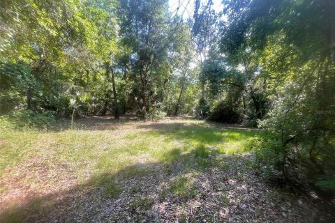 Terreno en venta en Hawthorne, Florida № 1333749 - foto 25