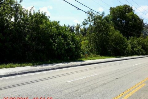 Terrain à vendre à Davie, Floride № 509953 - photo 3