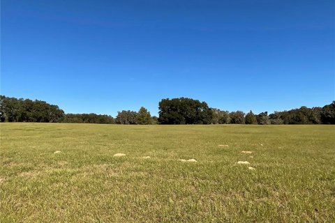 Land in Ocala, Florida № 1084875 - photo 6