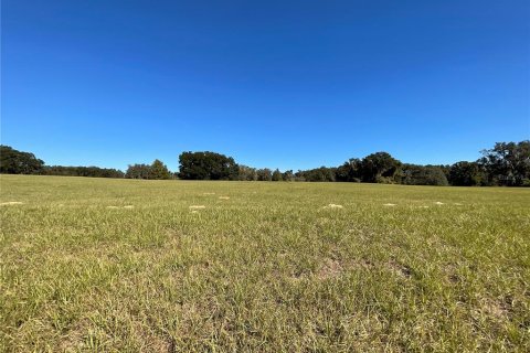 Land in Ocala, Florida № 1084875 - photo 10