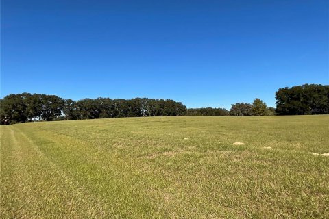 Land in Ocala, Florida № 1084875 - photo 2