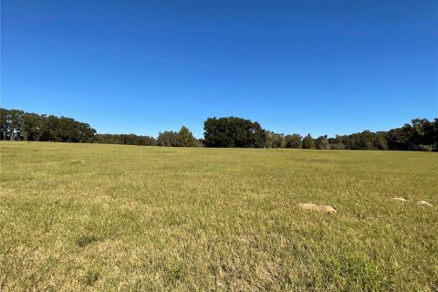 Land in Ocala, Florida № 1084875 - photo 11