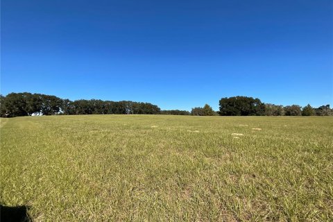 Land in Ocala, Florida № 1084875 - photo 9