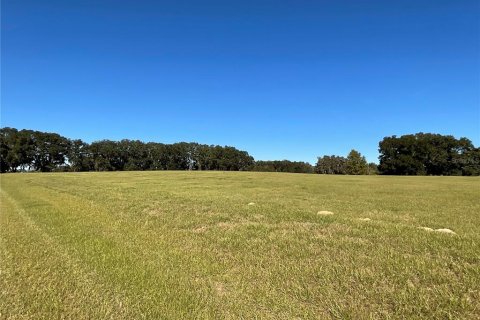 Terreno en venta en Ocala, Florida № 1084875 - foto 1