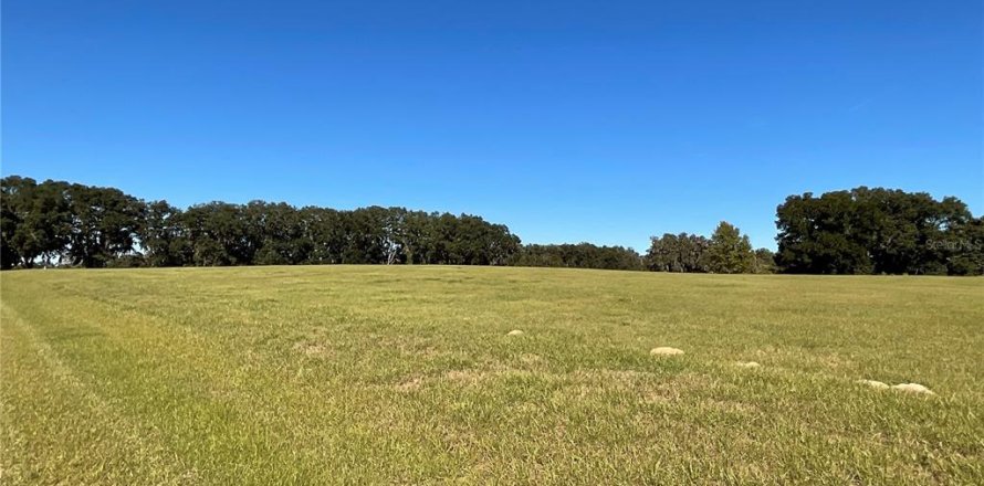 Land in Ocala, Florida № 1084875