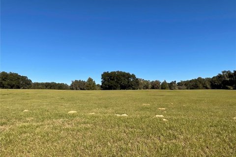 Land in Ocala, Florida № 1084875 - photo 5