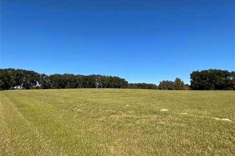 Land in Ocala, Florida № 1084875 - photo 3