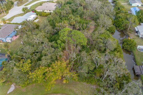 Terreno en venta en Englewood, Florida № 941929 - foto 16