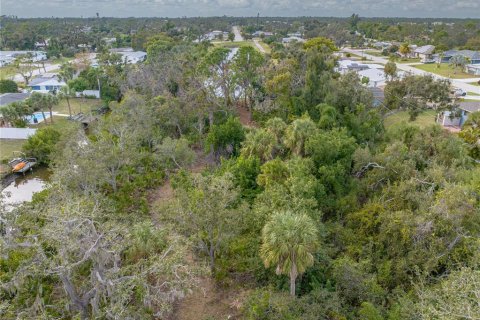 Land in Englewood, Florida № 941929 - photo 25