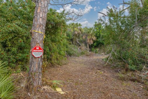 Terreno en venta en Englewood, Florida № 941929 - foto 29