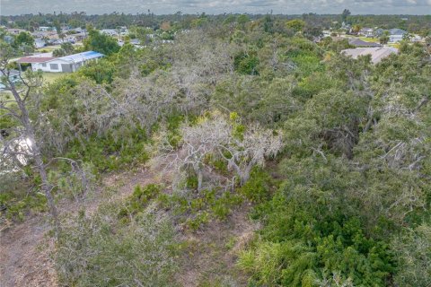 Terreno en venta en Englewood, Florida № 941929 - foto 24