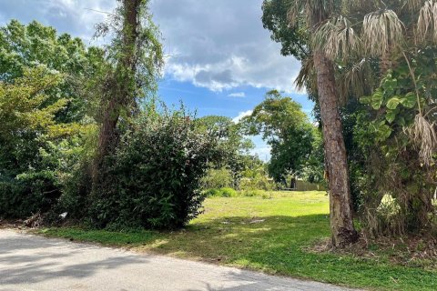 Land in Stuart, Florida № 1104503 - photo 2