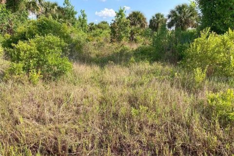 Terreno en venta en Okeechobee, Florida № 1220295 - foto 7