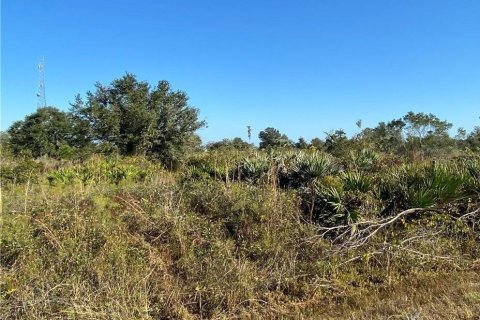 Terreno en venta en Okeechobee, Florida № 1220295 - foto 8