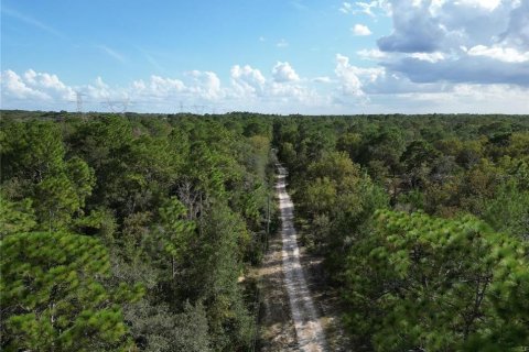 Terreno en venta en Okeechobee, Florida № 1220295 - foto 2