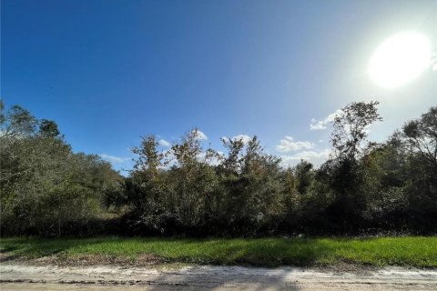 Land in Okeechobee, Florida № 1220295 - photo 6