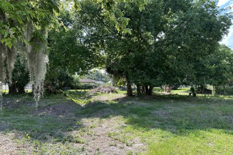 Land in Okeechobee, Florida № 1208676 - photo 6