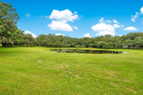 Land in Winter Garden, Florida № 1314793 - photo 6