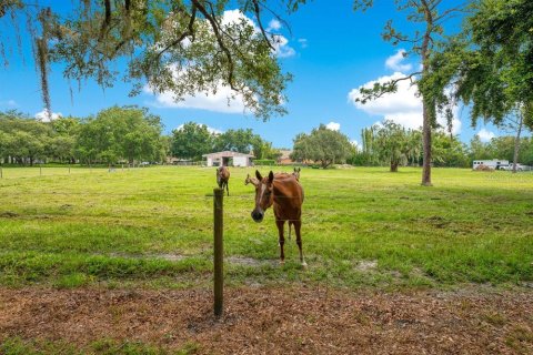 Terreno en venta en Winter Garden, Florida № 1314793 - foto 8