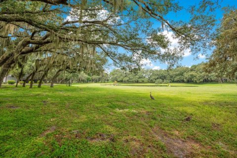 Land in Winter Garden, Florida № 1314793 - photo 7