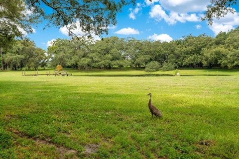 Terreno en venta en Winter Garden, Florida № 1314793 - foto 9