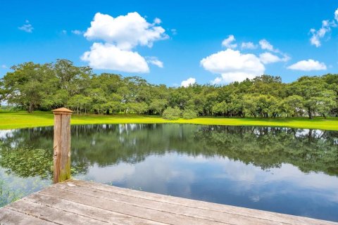 Land in Winter Garden, Florida № 1314793 - photo 4