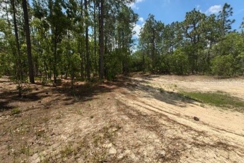 Terreno en venta en Ocala, Florida № 1299137 - foto 13