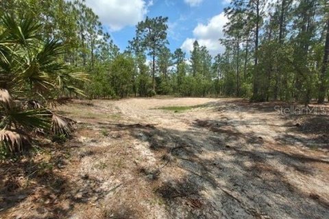 Terrain à vendre à Ocala, Floride № 1299137 - photo 4