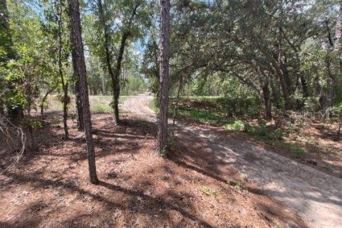 Terreno en venta en Ocala, Florida № 1299137 - foto 6