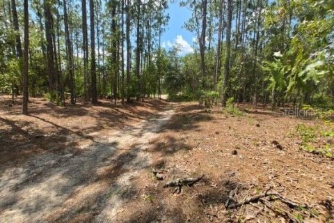 Terrain à vendre à Ocala, Floride № 1299137 - photo 5