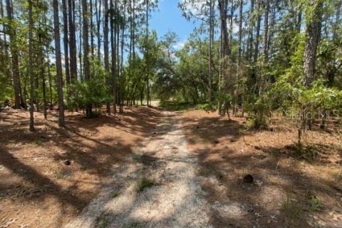 Terreno en venta en Ocala, Florida № 1299137 - foto 1