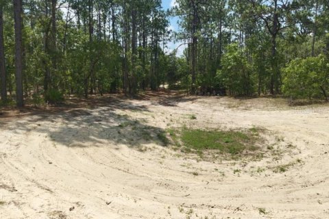 Terrain à vendre à Ocala, Floride № 1299137 - photo 9