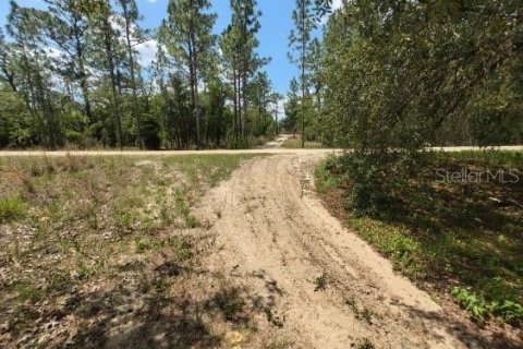 Terreno en venta en Ocala, Florida № 1299137 - foto 10