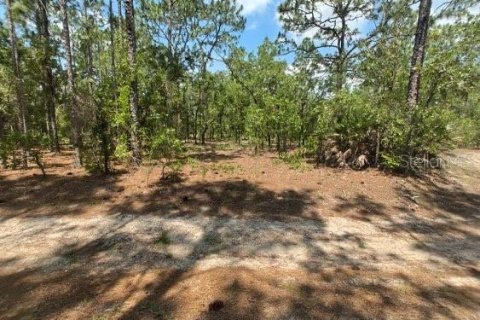 Terreno en venta en Ocala, Florida № 1299137 - foto 7