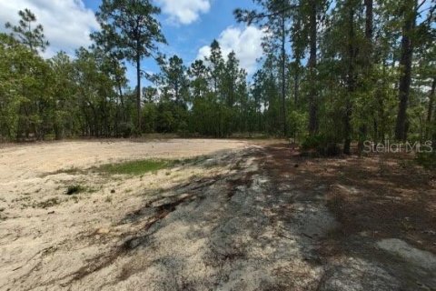 Terreno en venta en Ocala, Florida № 1299137 - foto 11