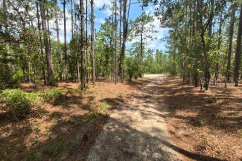 Terrain à vendre à Ocala, Floride № 1299137 - photo 2