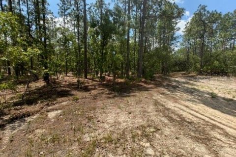 Terreno en venta en Ocala, Florida № 1299137 - foto 14