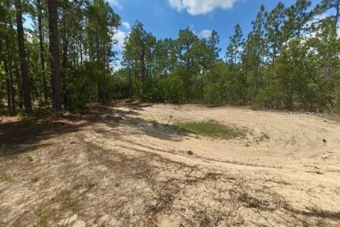 Terreno en venta en Ocala, Florida № 1299137 - foto 12