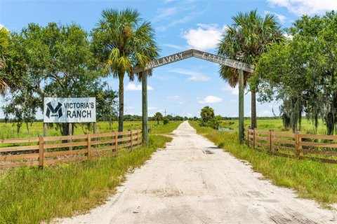 Villa ou maison à vendre à Okeechobee, Floride: 7 chambres, 590.95 m2 № 733494 - photo 1