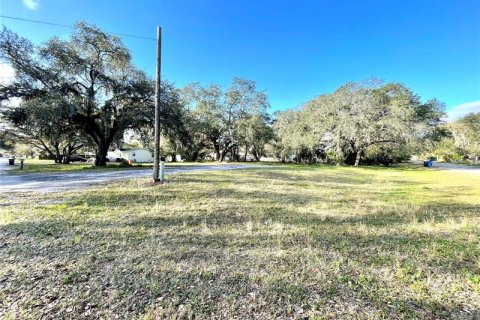 Terrain à vendre à Lutz, Floride № 293354 - photo 6
