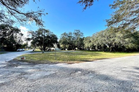 Terrain à vendre à Lutz, Floride № 293354 - photo 8