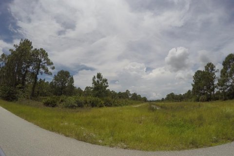 Купить земельный участок в Лихай-Эйкерс, Флорида № 605428 - фото 4