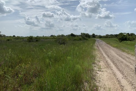 Terreno en venta en Okeechobee, Florida № 728843 - foto 1